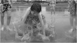 The Quiet Shore ,David Claerbout