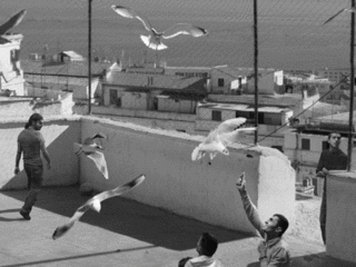 The Algiers\' Sections of a Happy Moment,David Claerbout