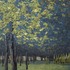 20120518224320-shubluepark
