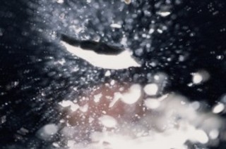 Astralfields and Other Manifestations,Kelly Barrie