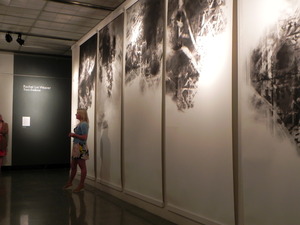 20120519202734-dscn1618