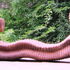 20120520050826-stuti