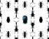 20120520070718-coleopt_re_rf_