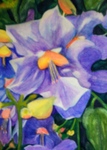 20120520123626-just_hanging_around-clematis_on_wall_at_zichron_yaakov