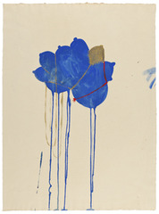Saffronia’s Broken Lasso ,Shoshanna Weinberger