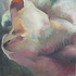 20120521005627-amulcahy_painting_bearface2b