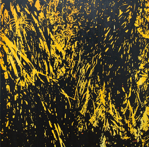 20120521022224-yellowmangrove