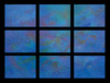 20120521175927-pheromnes__1