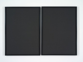 Double Blind,Shimon Attie