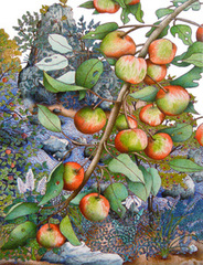 Wild Apple Branch,Michael Eade