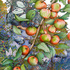 20120521233947-eade_wild_apple_branch_300dpi_copy