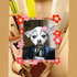 20120522000447-little_dog__big_world