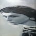 20120522050939-coco_no
