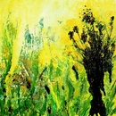 20120522074639-dscn1994a