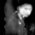 20120522075910-vickyscan02