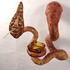 20120522095920-smokingworm1