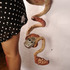 20120522100136-pervworm1