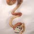 20120522100226-pervworm2
