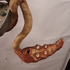 20120522100306-pervworm3