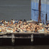 20120522193238-frank_hallam_pier_46__en_mass_sunners_