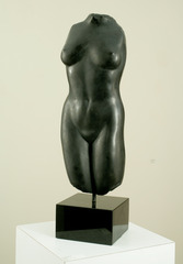 Dark Moon,Anita Huffington