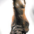20120522194537-huffington_forest_figure