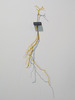 20120522234723-ccc
