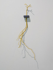 Rootsy,Esther Traugot