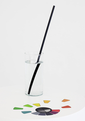Sans titre (vase/disque chromatique),Mathieu Mercier