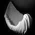 20120523150535-marcello_cinque__barca_bianca_2011