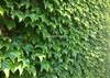 20120523185120-garden_party_card_copy