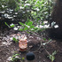 20120523195241-musicbox_kew_web