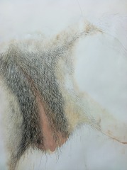 Untitled,Tim Youd