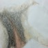 20120523212655-photo_6_