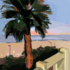 20120523233910-untitled_-_palm_tree