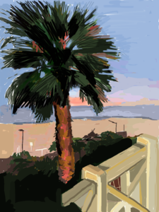 20120523233910-untitled_-_palm_tree