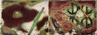 Untitled,Jedediah Caesar