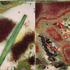 20120525034513-still-from-video-_untitled_
