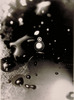20120525034906-kepes_-untitled_-1940-_1993
