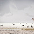 20120525100355-__klaus_tiedge_t1_1103_harmony
