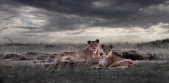 20120525121308-__klaus_tiedge_t3_3174_last_light