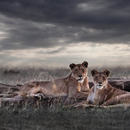20120525121308-__klaus_tiedge_t3_3174_last_light