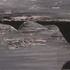 20120525145741-cimg1651