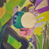 20120525150021-nikon_4_uncropped_098
