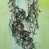 20120525183910-tg