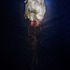 20120525225433-klimek_05_051412