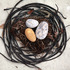 20120526153349-nest_pismo_beach_m_7267
