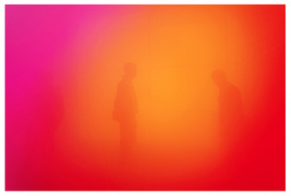 ,Ann Veronica Janssens