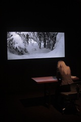 Trace Evidence,Rachel Lin Weaver