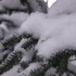 20120527113115-traceevidence2